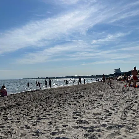 Achterndiek Und Strandläufer *